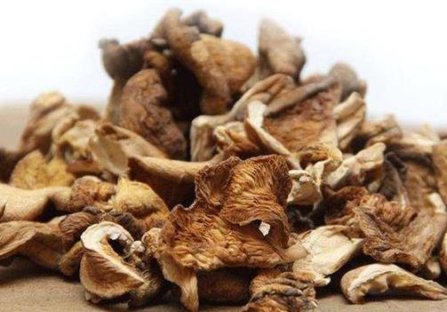 干蘑菇怎么保存