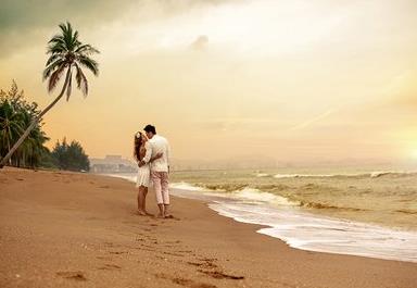 温柔，是成年人最强大的铠甲