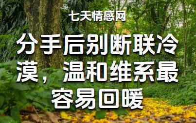 分手后别断联冷漠，温和维系最容易回暖