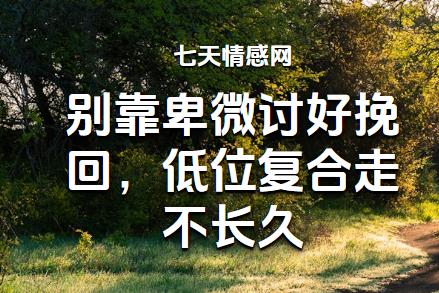 别靠卑微讨好挽回，低位复合走不长久