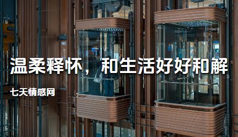 温柔释怀，和生活好好和解