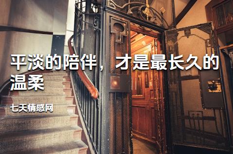 平淡的陪伴，才是最长久的温柔