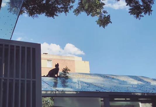 心怀温柔，生活皆有暖阳
