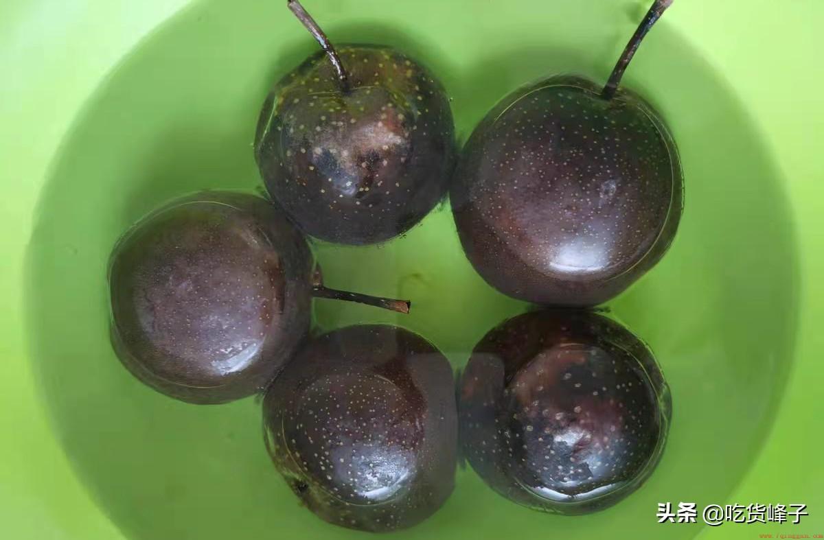 东北冻梨是什么梨做的
