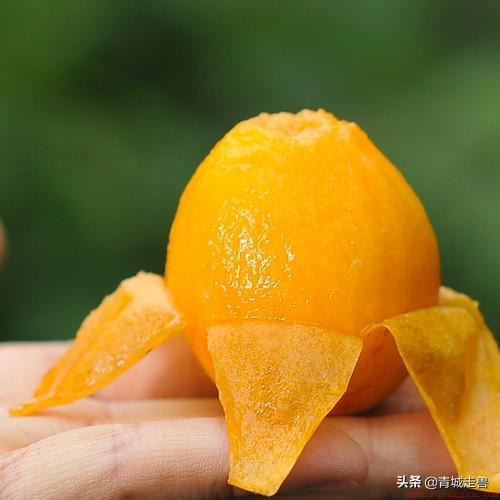 什么水果营养价值最高
