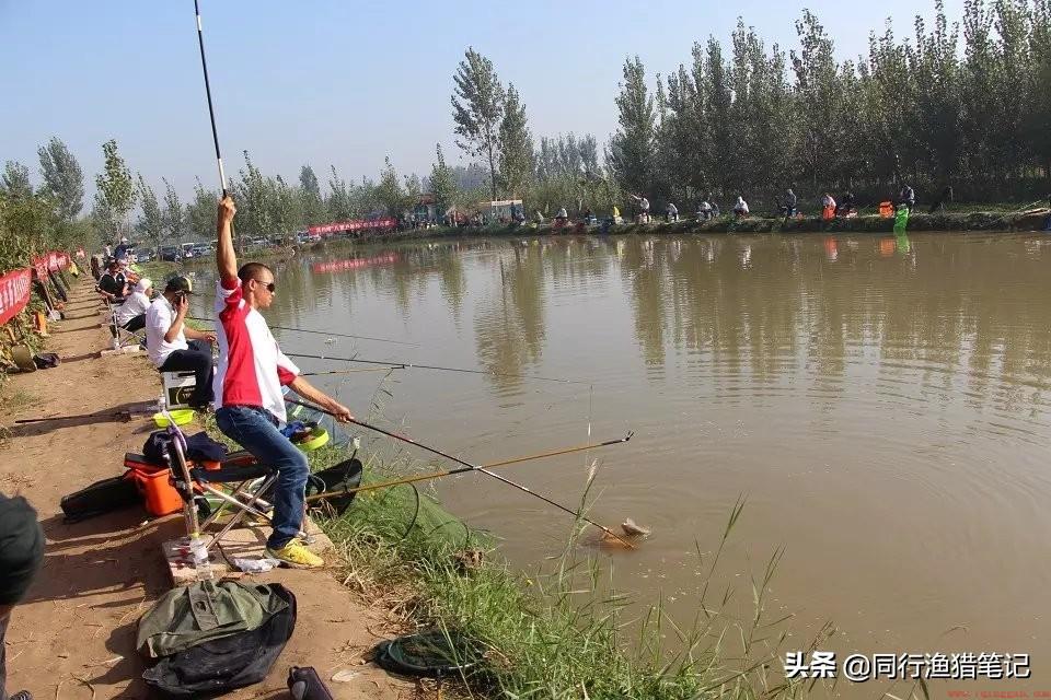 几号鱼线各有什么区别