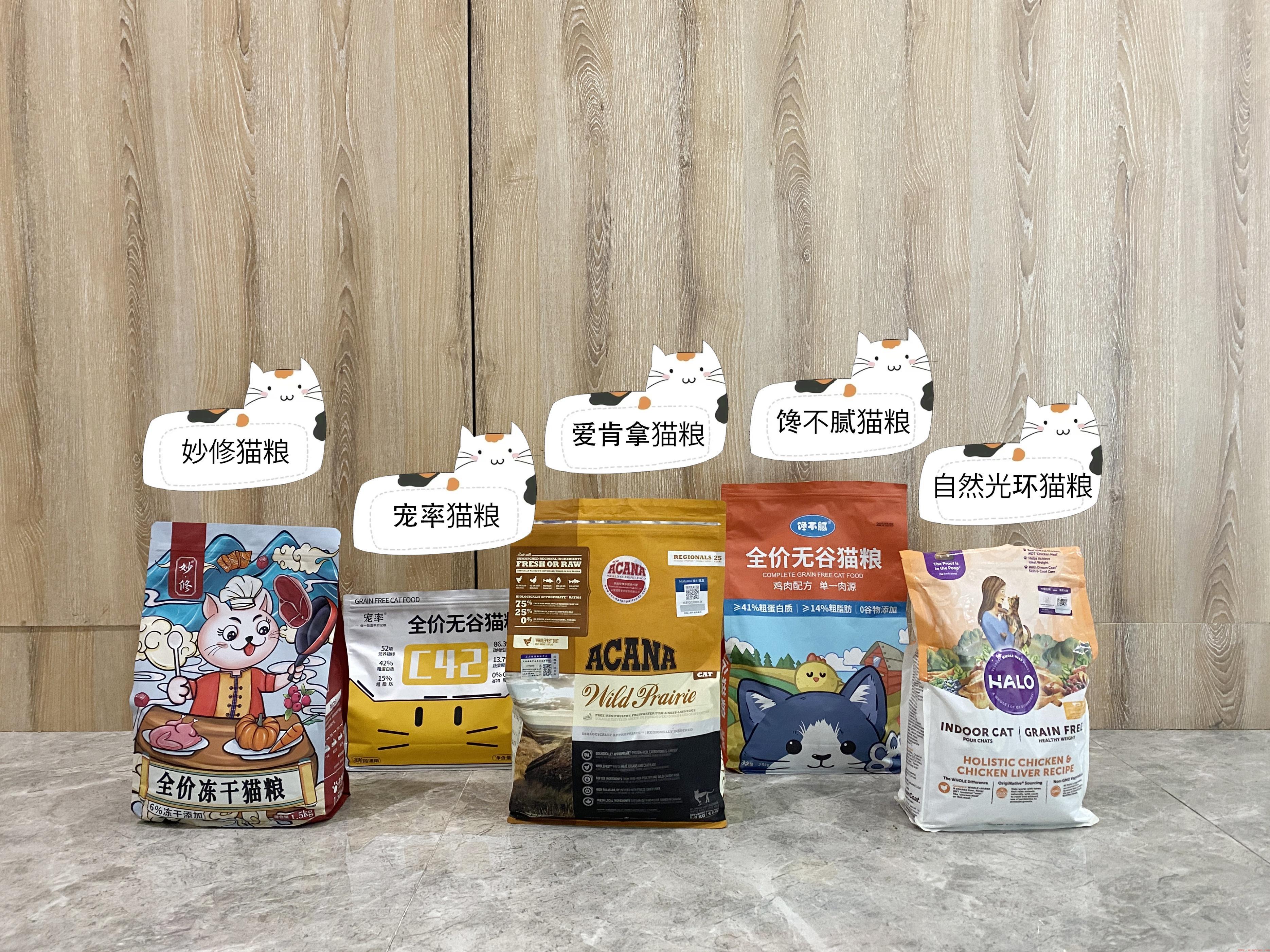 宠物猫咪最新年龄换算表来了