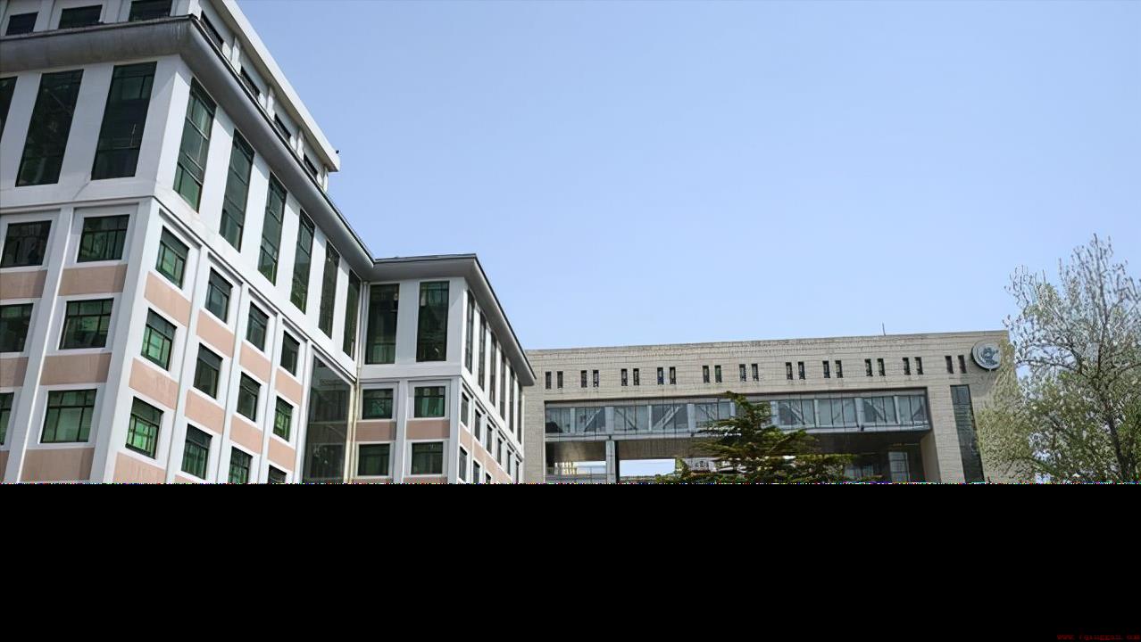 公认最强的211高校排名