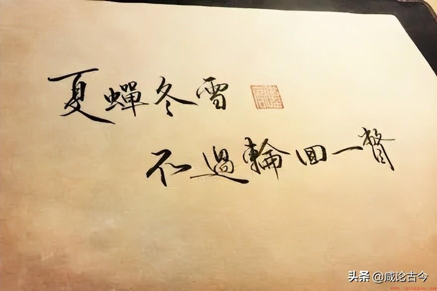 蚕吐丝结茧要多长时间