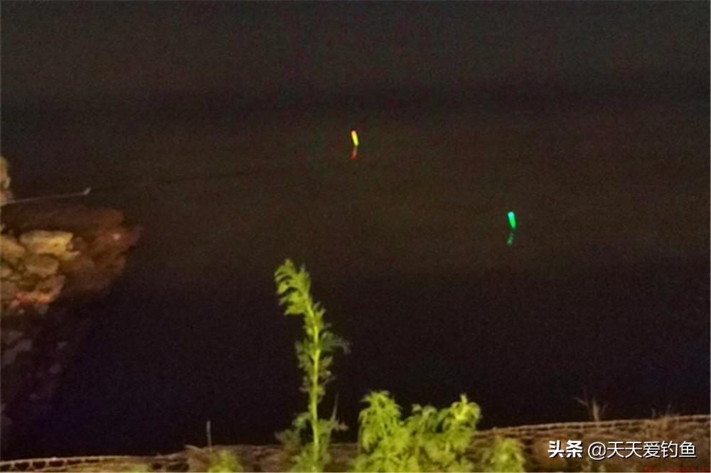 夜钓鲤鱼深水还是浅水好