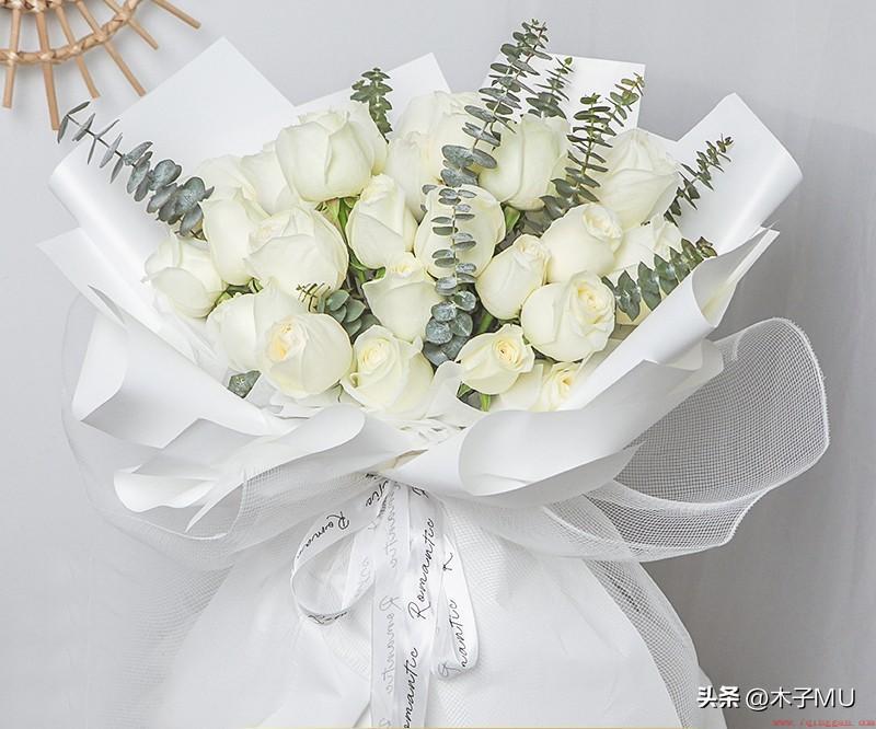 白玫瑰适合什么场合送吗