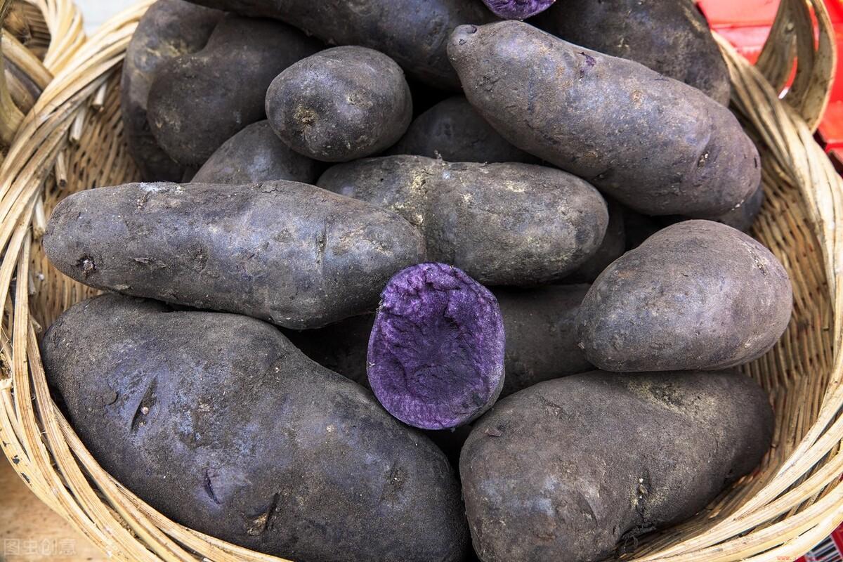 高产土豆品种的生长周期简介