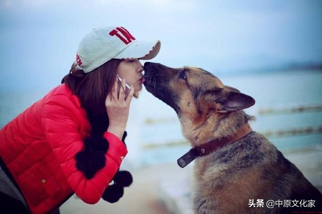 这句话有什么道理