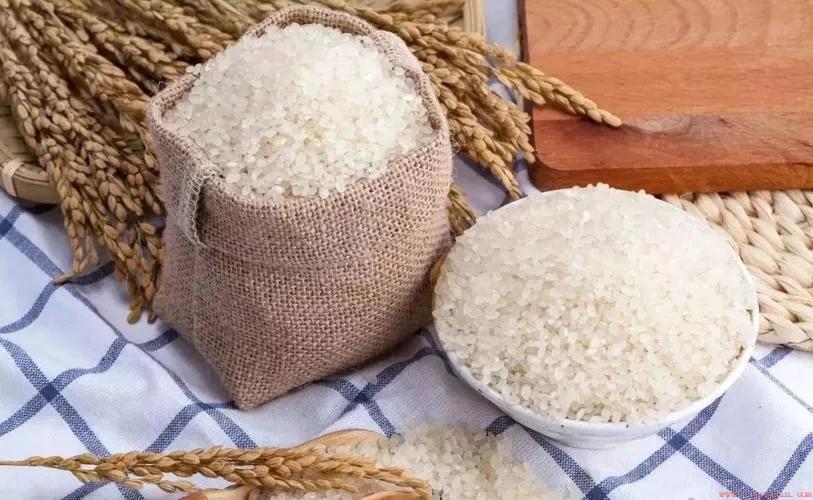 什么米好吃又香又软又便宜