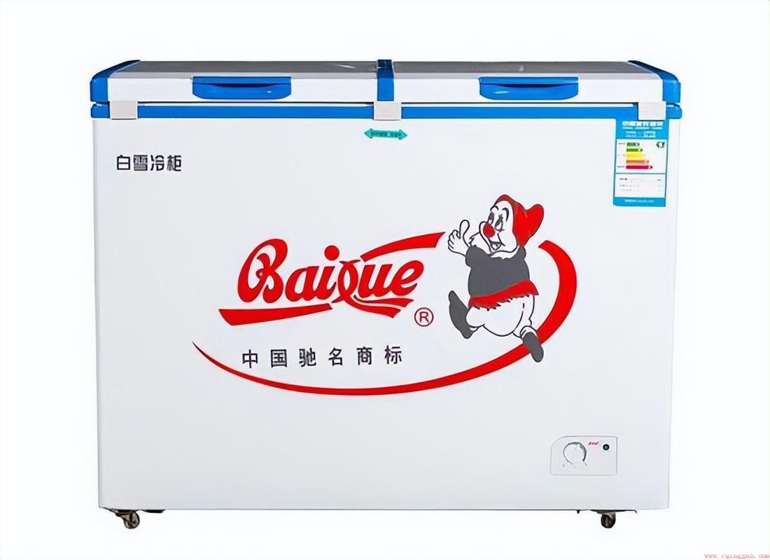 值得推荐买入的家用冰柜品牌