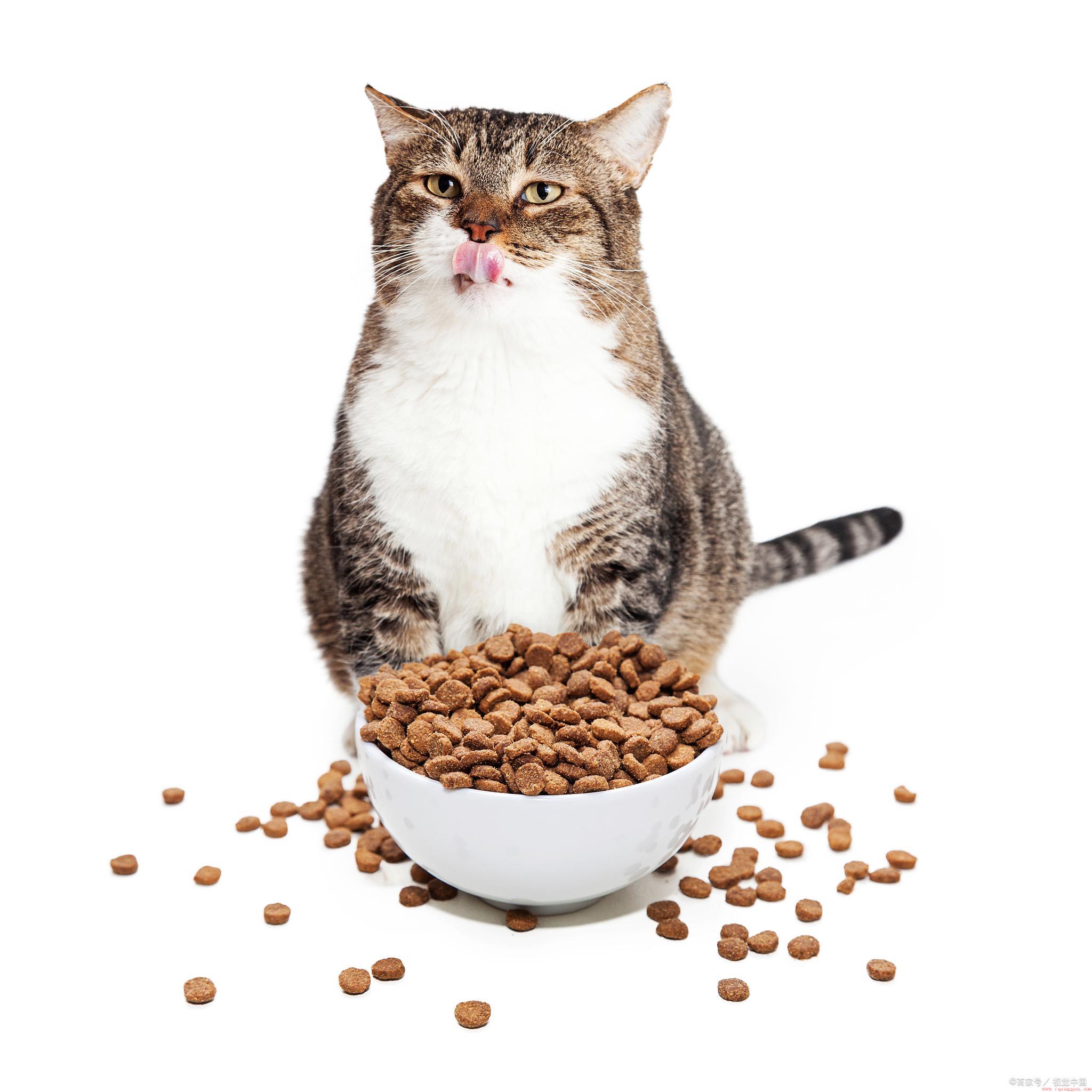 猫粮比较好的牌子推荐
