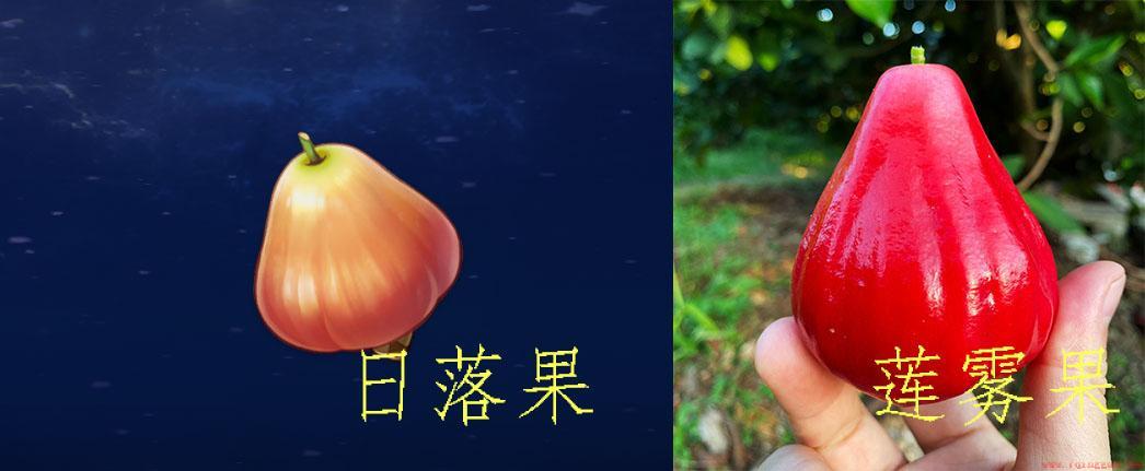 原神当中的植物在现实生活中的原型