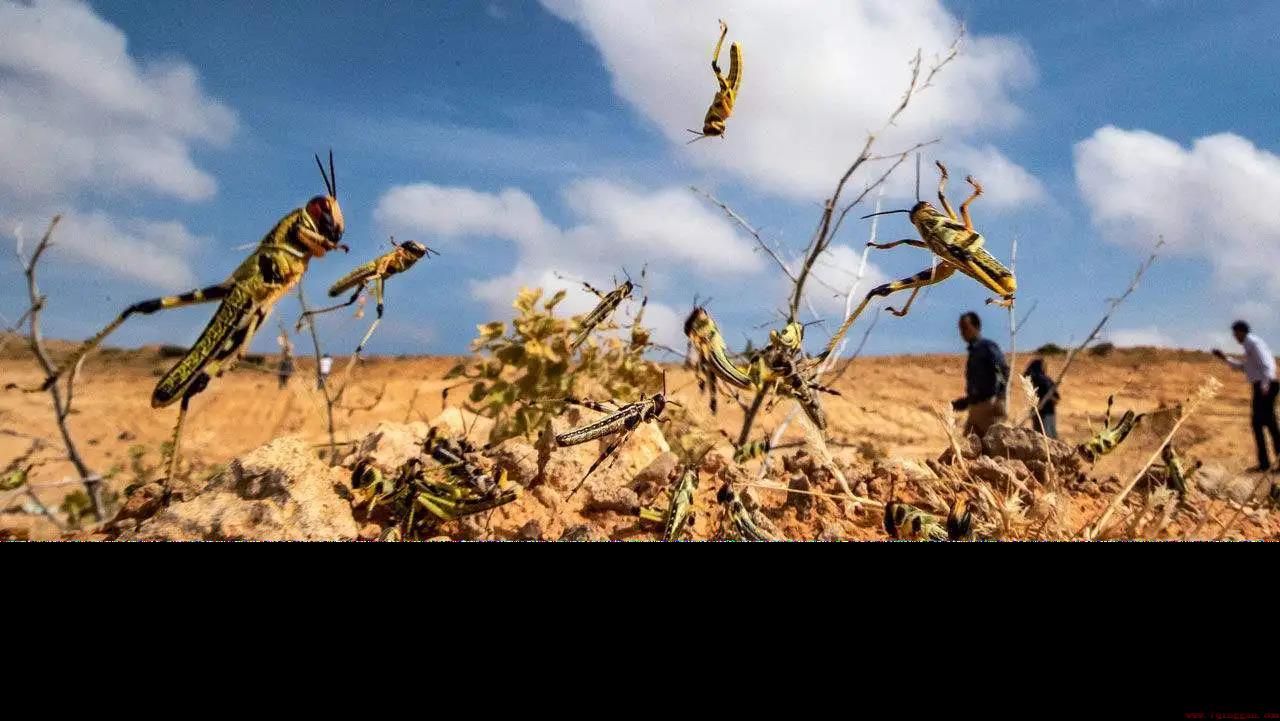 红月亮形成的原因是折射还是反射