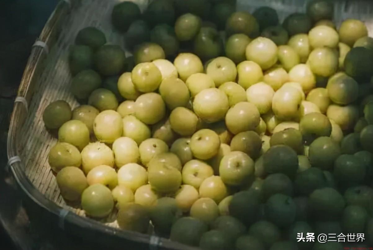 世界上最酸的十类水果都是什么