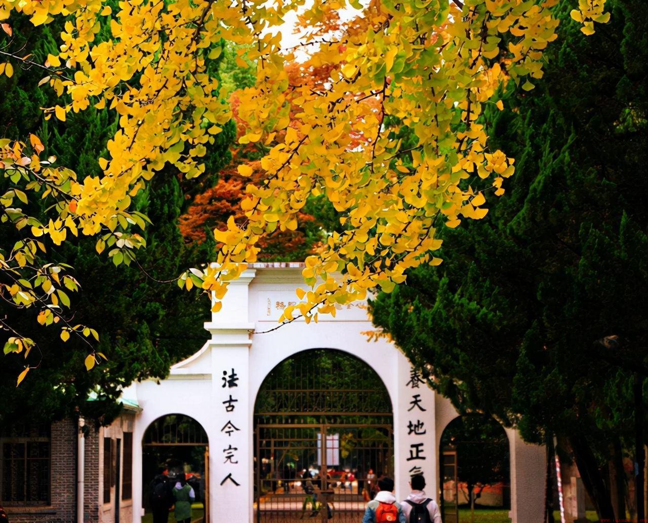 苏州大学有哪些就业前景较好的专业