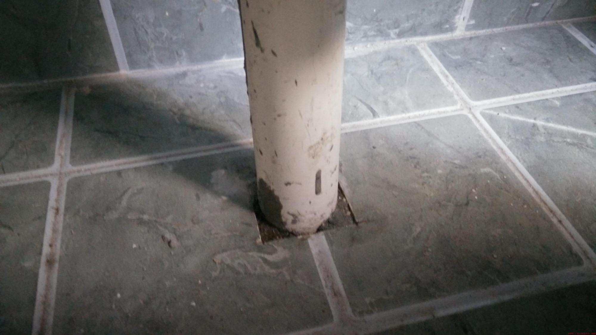 卫生间有小飞虫怎么根除