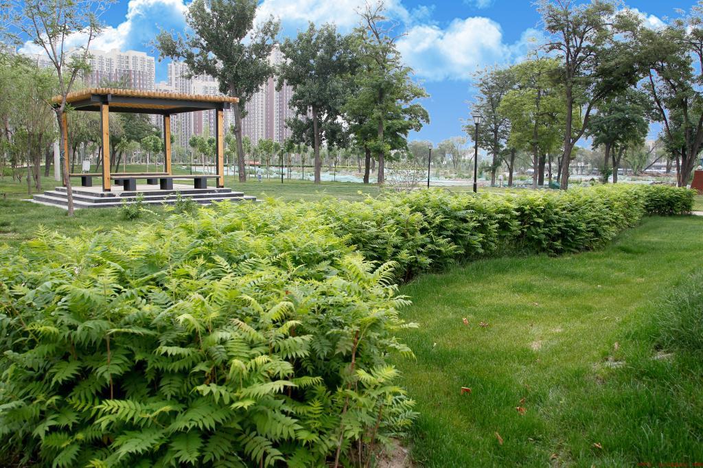 太原科技大学社会口碑怎么样