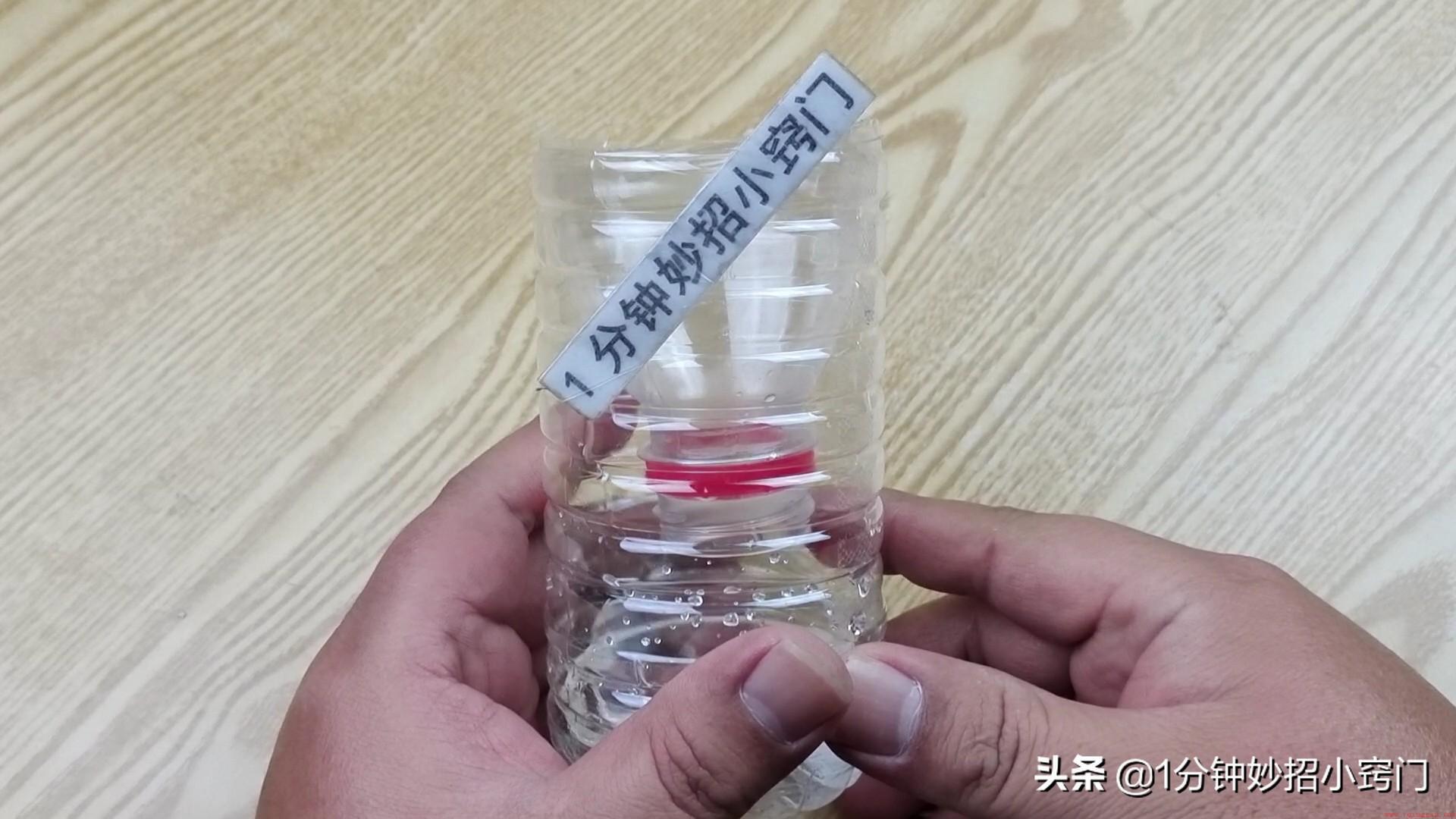一个塑料瓶轻松消灭家里的苍蝇