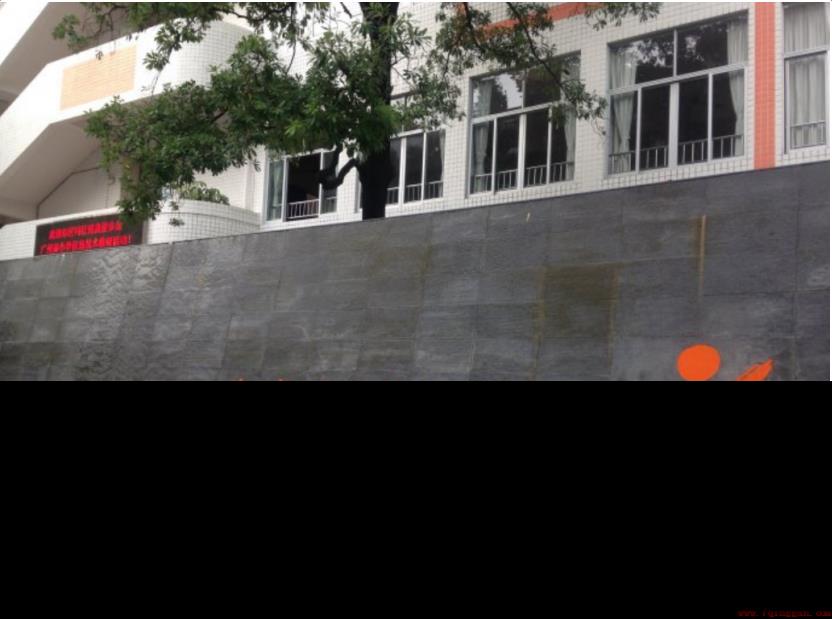 广州排名前十的重点小学名单