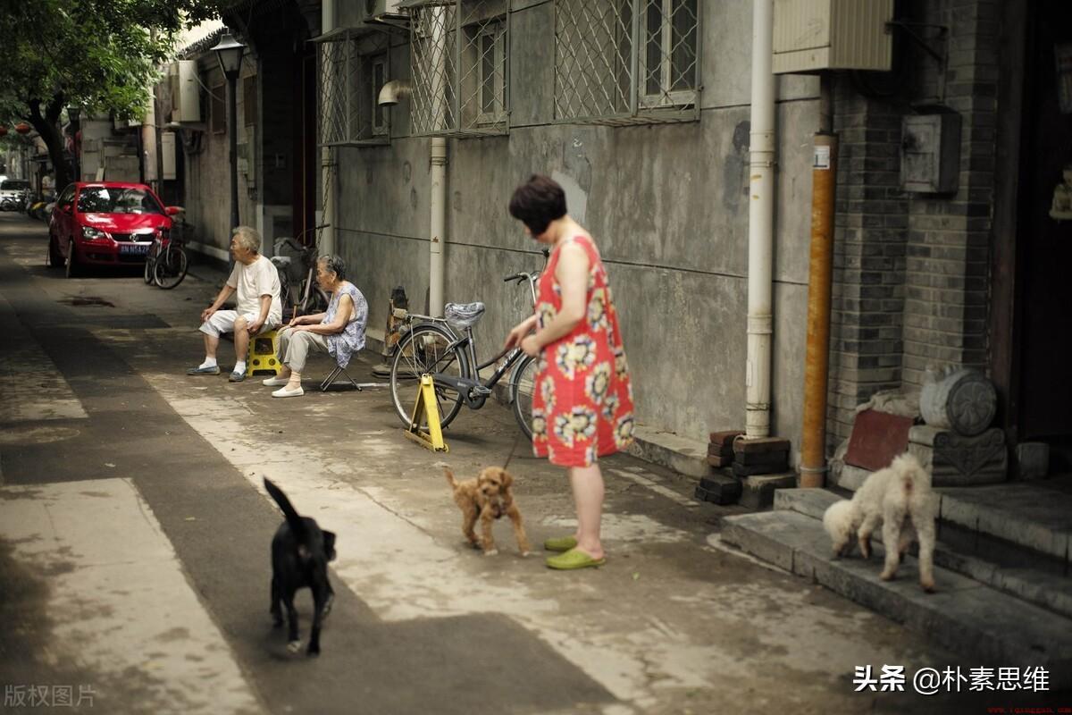 木雁之间龙蛇之变什么意思