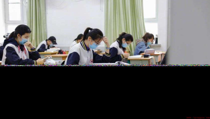 新高考纯文科组合真的惨吗