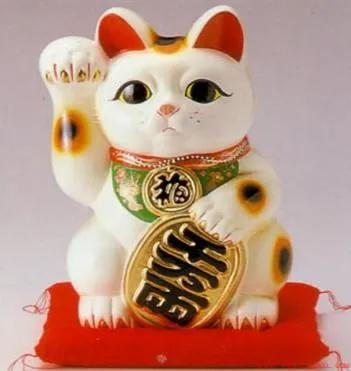 养一直猫会带给我们什么运气