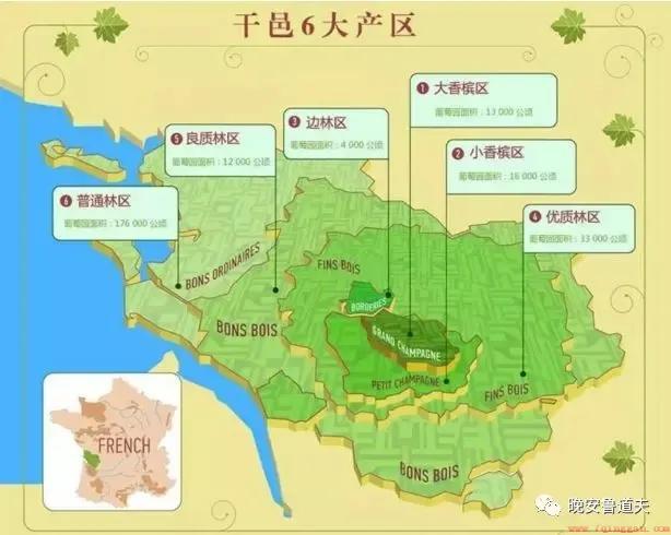 全球三大名酒究竟因何而著名