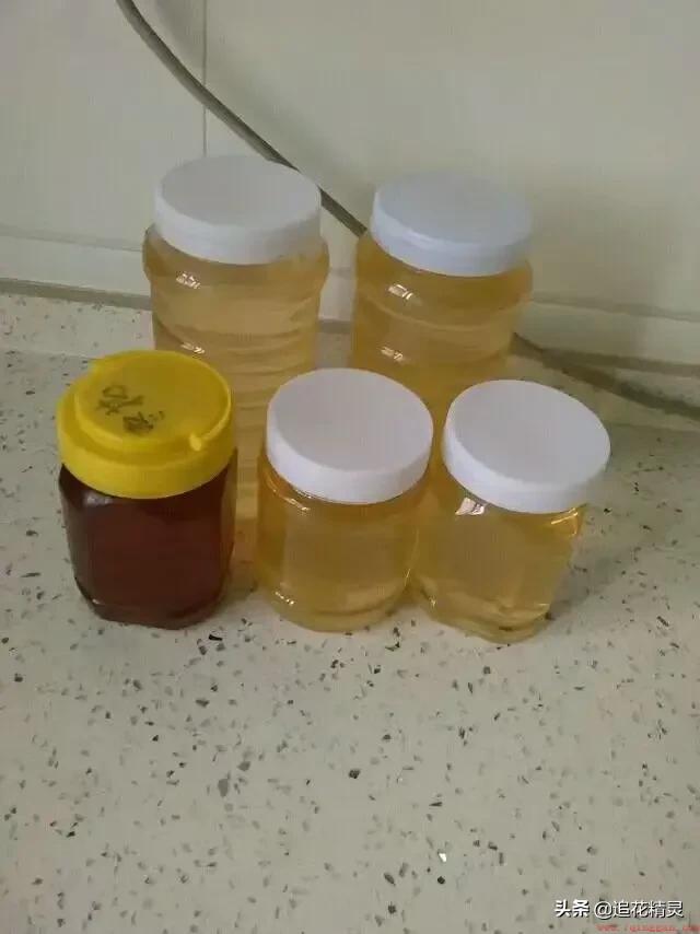 蜂蜜起白沫怎么回事