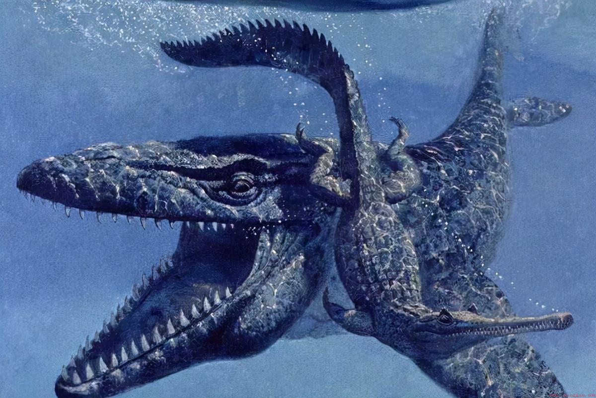 史前最大的海洋生物是什么