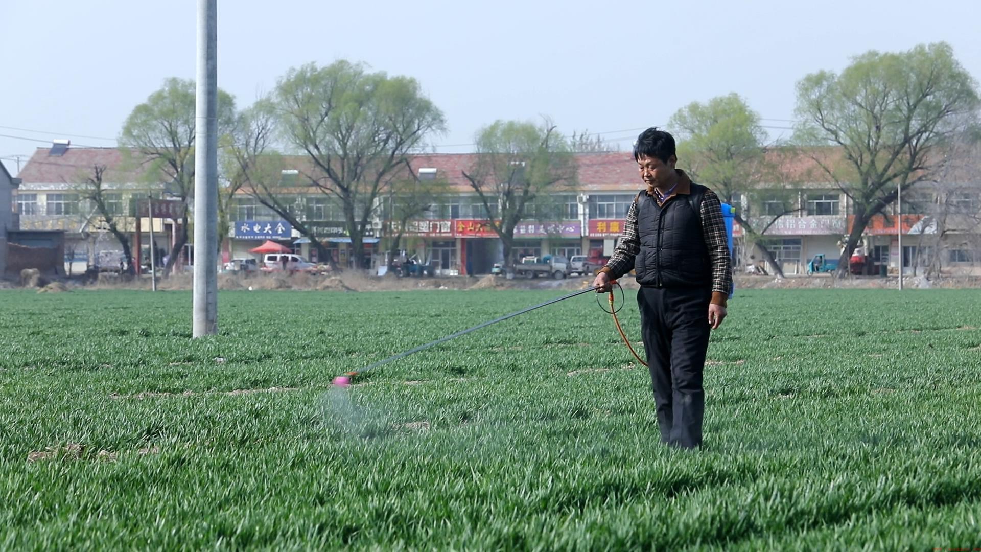 打农药什么时间打效果好