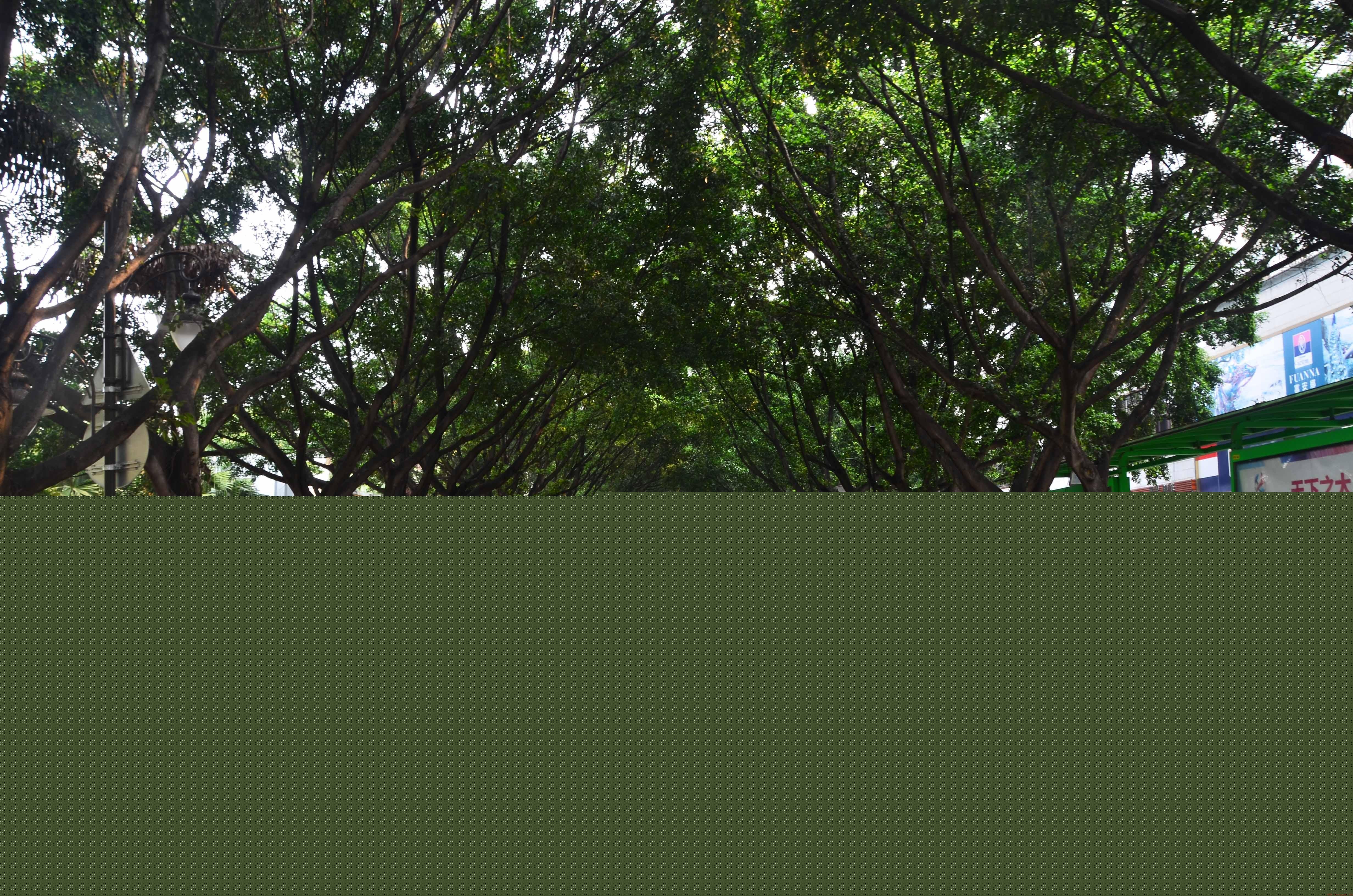 云南省蒙自的城市概况简介