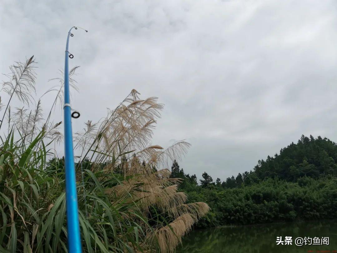 用路亚竿钓鲫鱼的方法