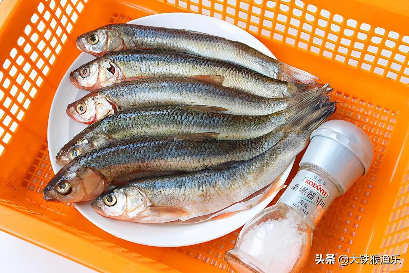 盘点钓鱼人眼中最美味的十种淡水鱼