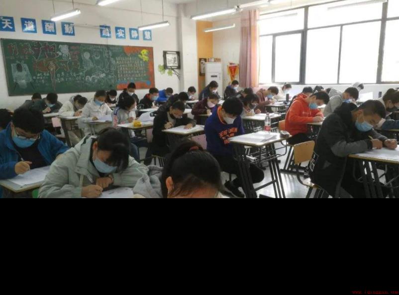上海本科大学有哪些大学