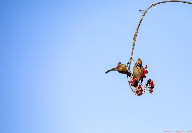 三农是哪三农啊