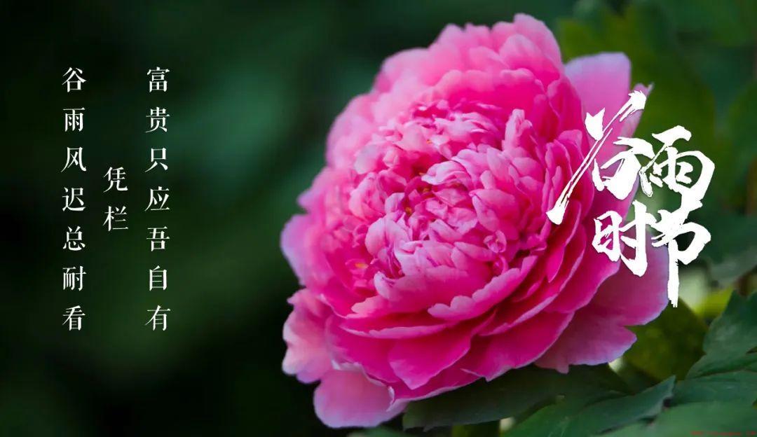 形容谷雨时节的诗句有哪些