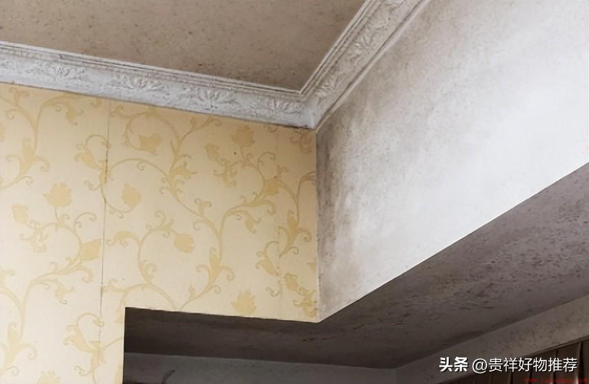 家里潮湿发霉怎么办