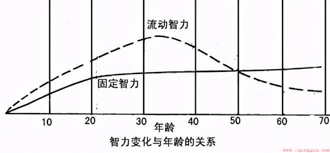 iq是什么意思