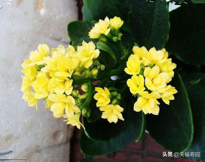 给老人定制寿衣需要注意哪些事项