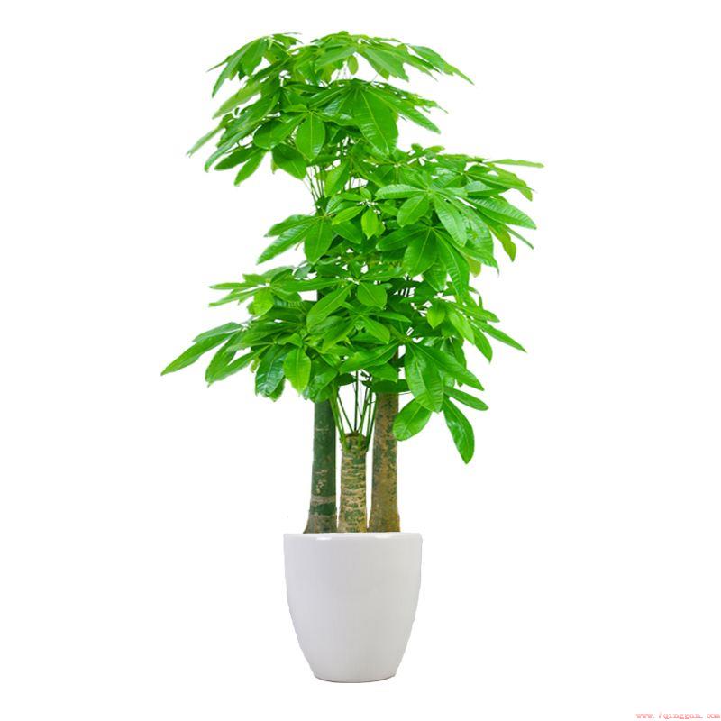 新居入伙送什么礼物比较好
