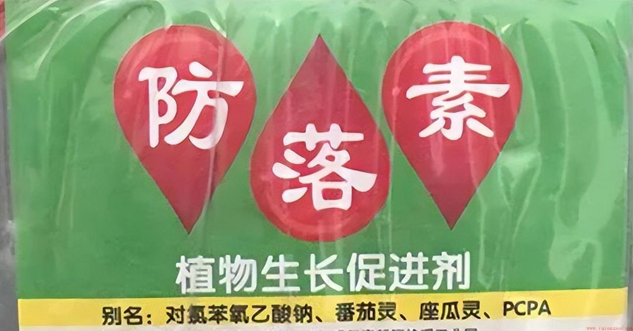 番茄花什么时候授粉能成功