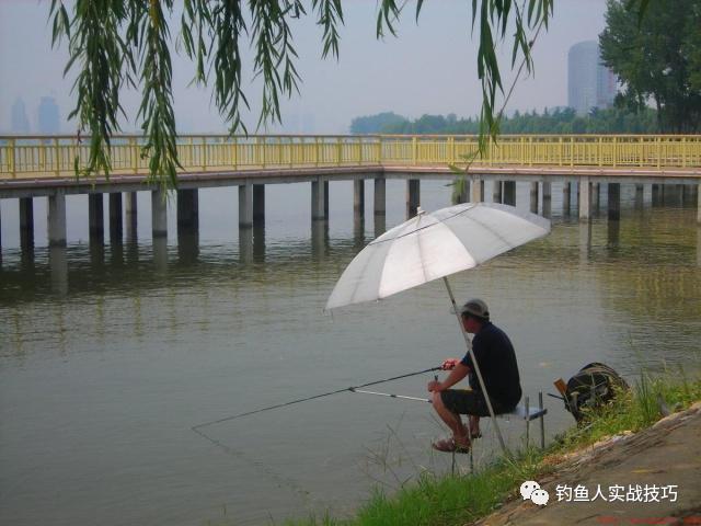 夏天钓鱼深度掌握技巧