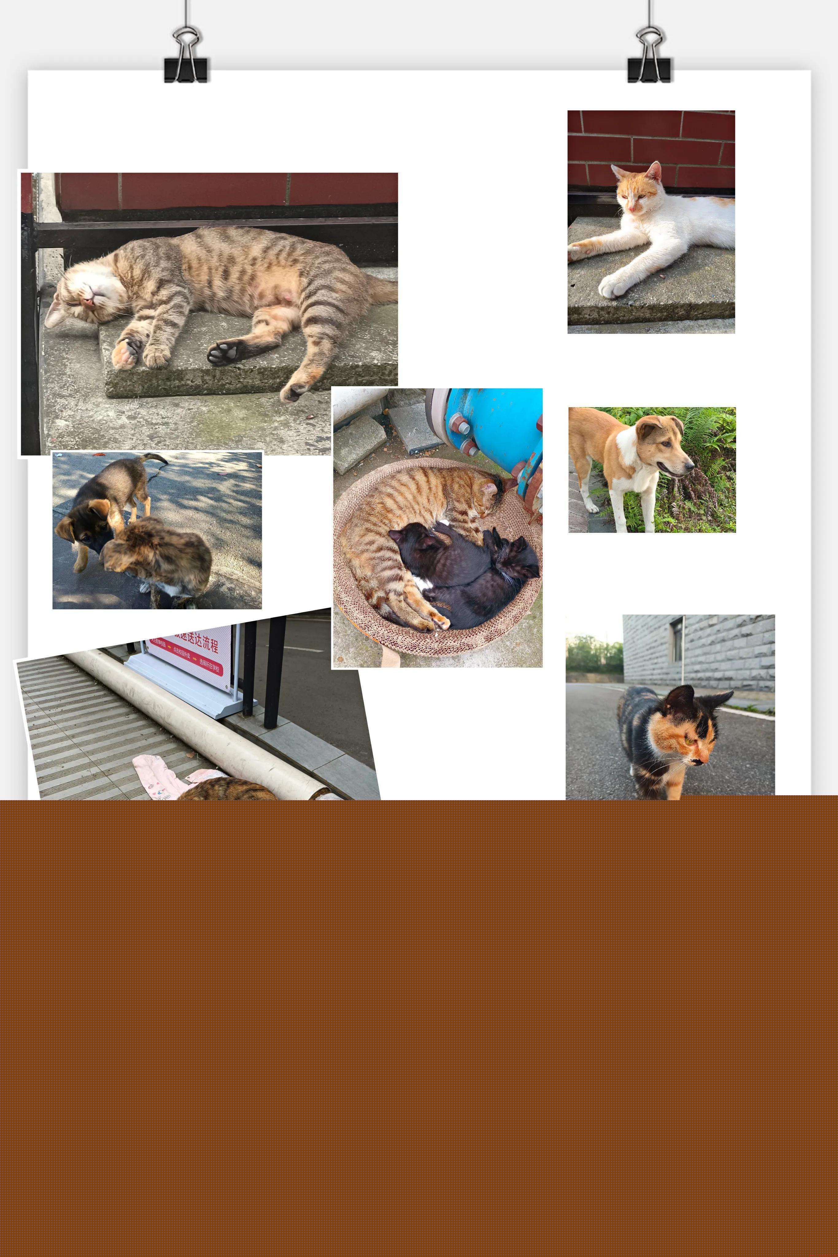 西南财大天府学院好吗