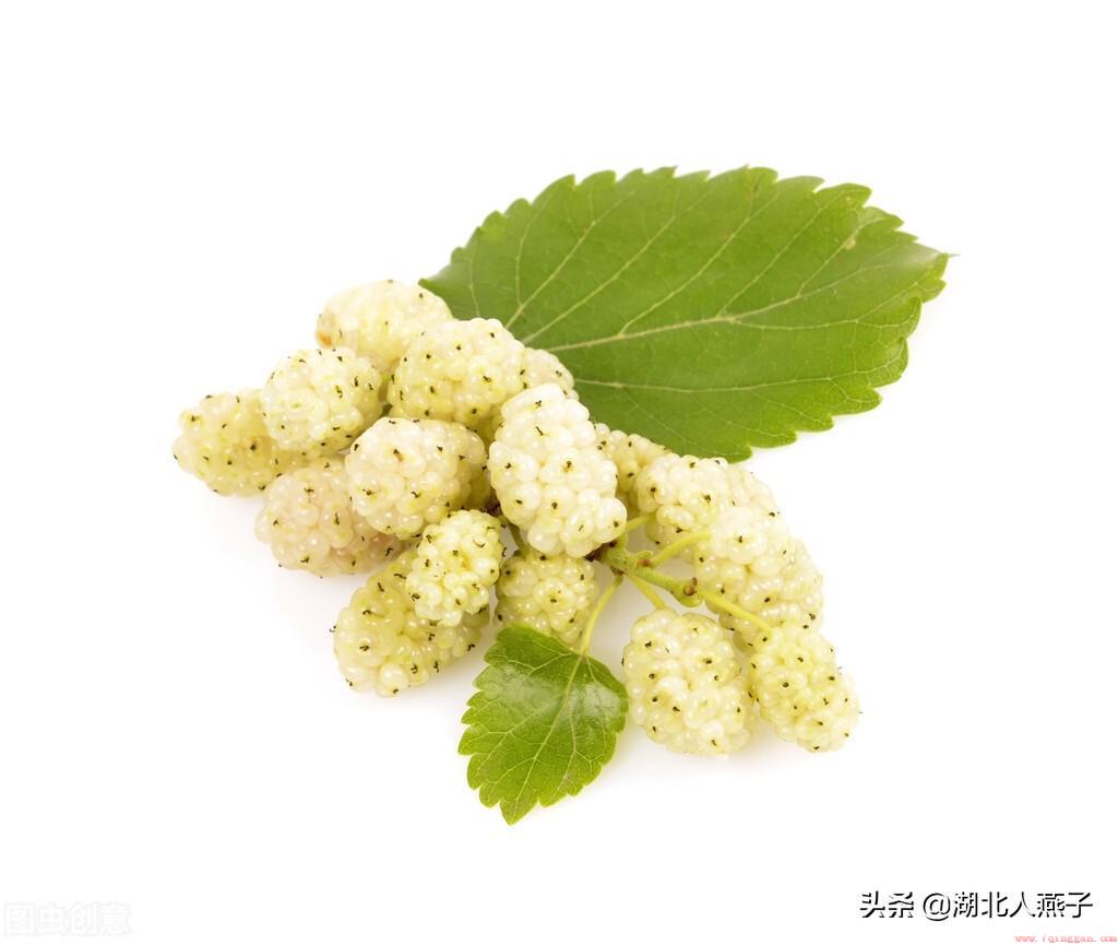 多吃这6种白色水果对身体好