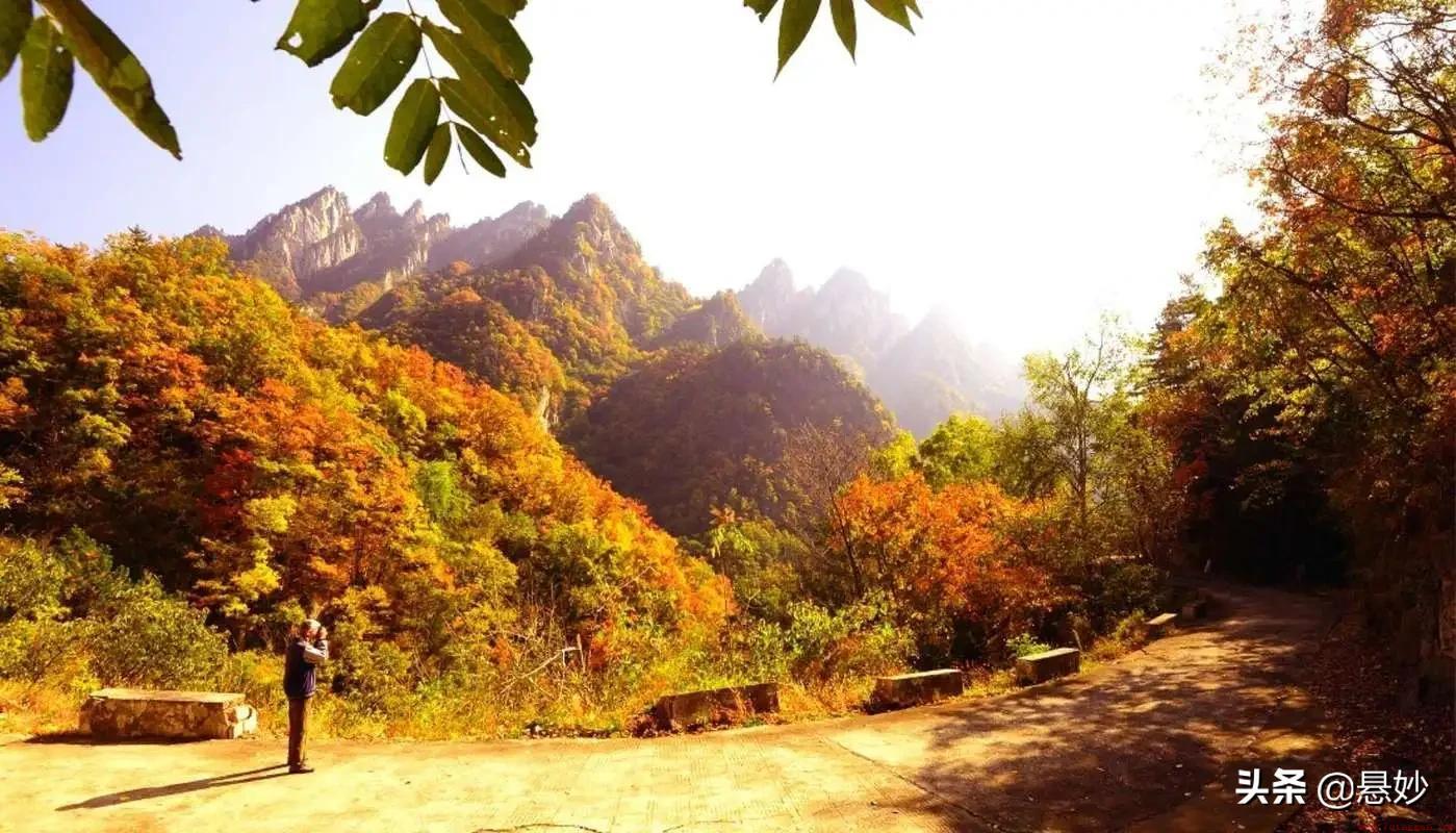 河南八大人气最高的山峰